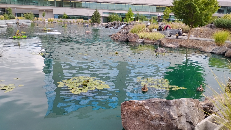 Winter pond maintenance with aerator visible in Utah County pond