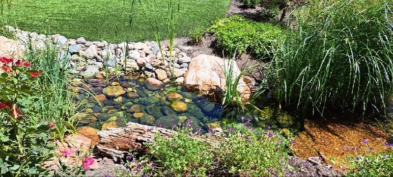 Nighttime view of illuminated pond in Provo