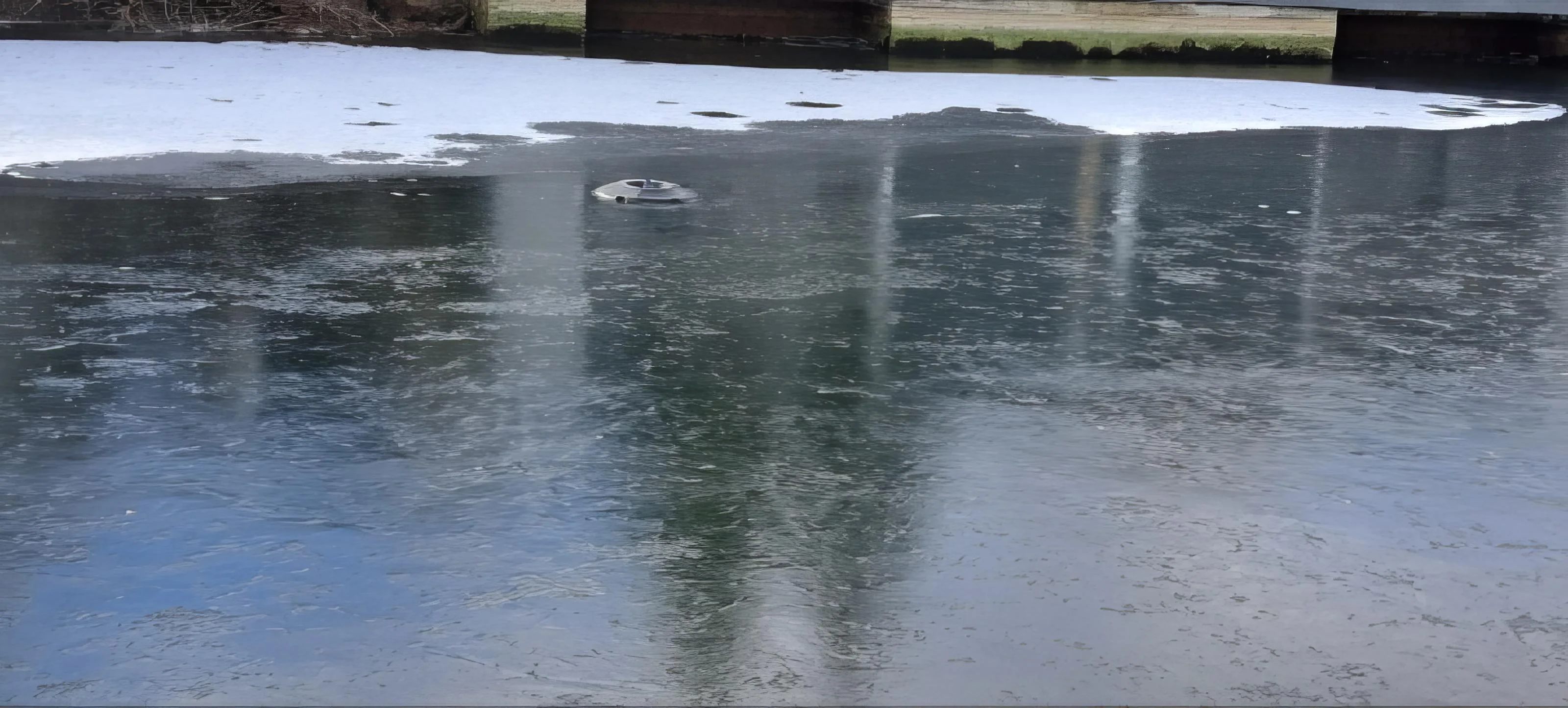 Expansive Provo backyard pond with stream and fire pit