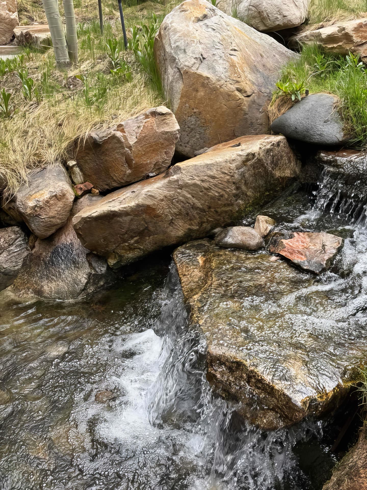 Fall Maintenance services in Utah