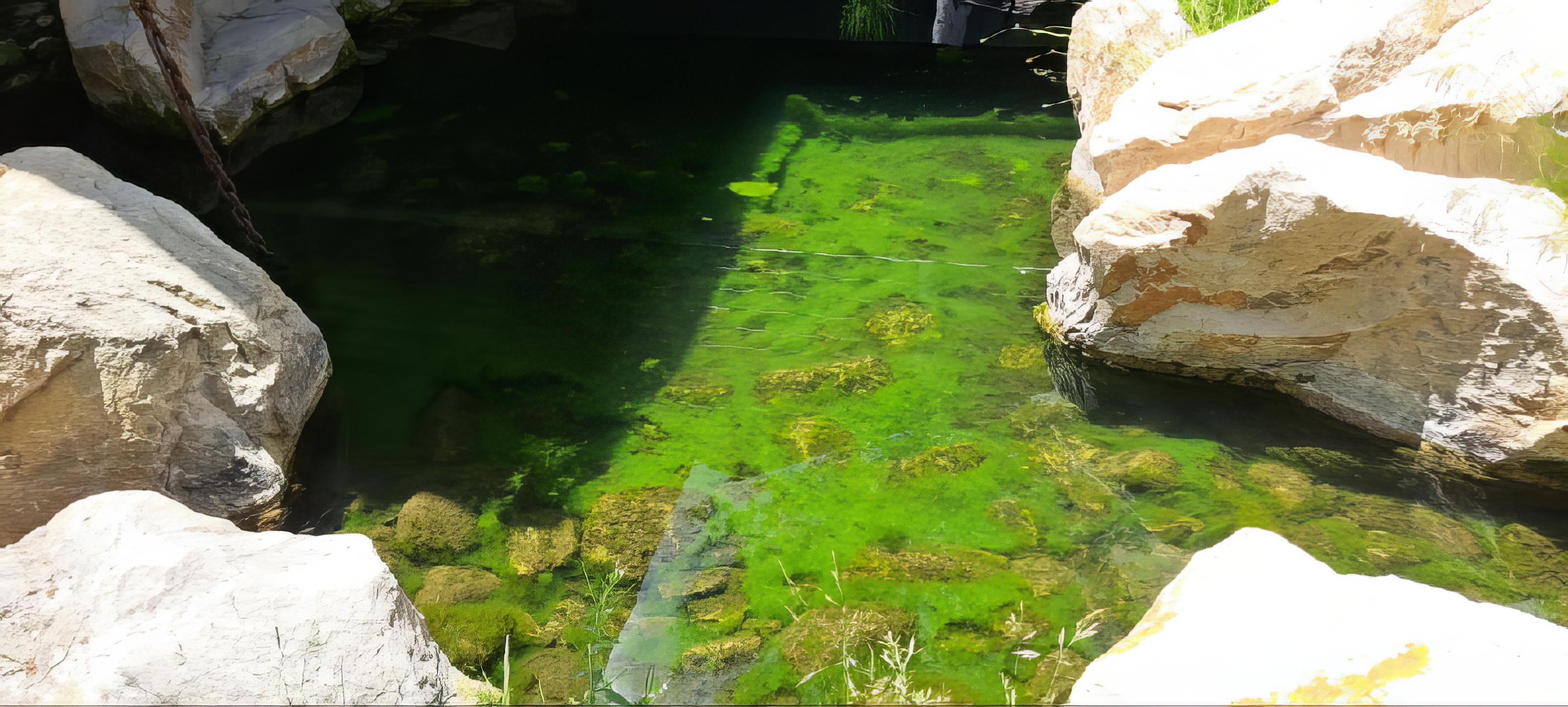 Dramatic pond transformation projects