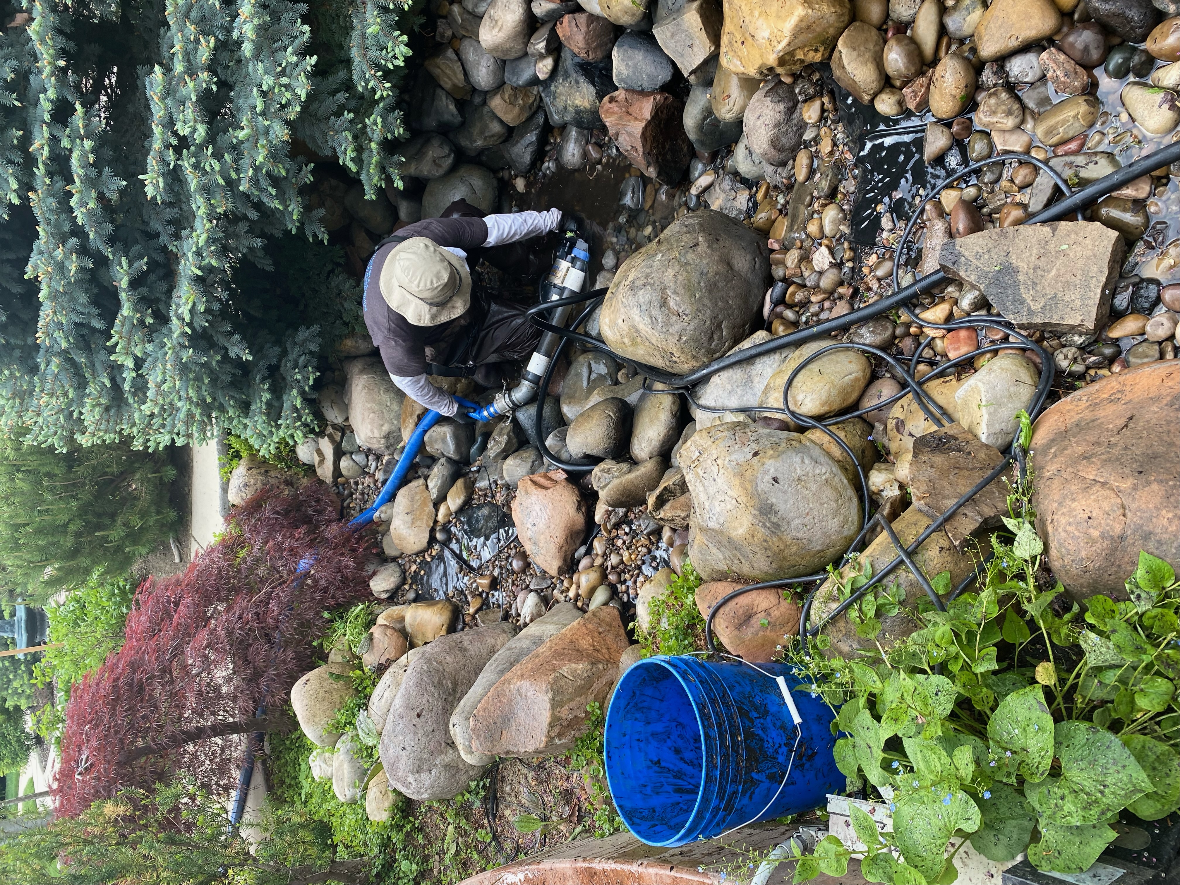 Ultimate Pond Cleaning in Utah (2024): Deep Cleanouts, Fish-Safe Methods, and Clear Water - Maintenance & Care Pond care guide from Utah Water Gardens