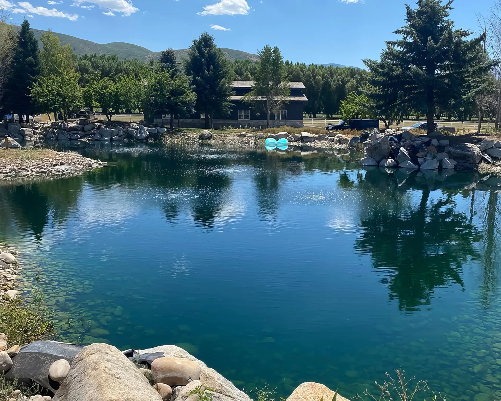 Professional pond cleaning service showing crystal clear water