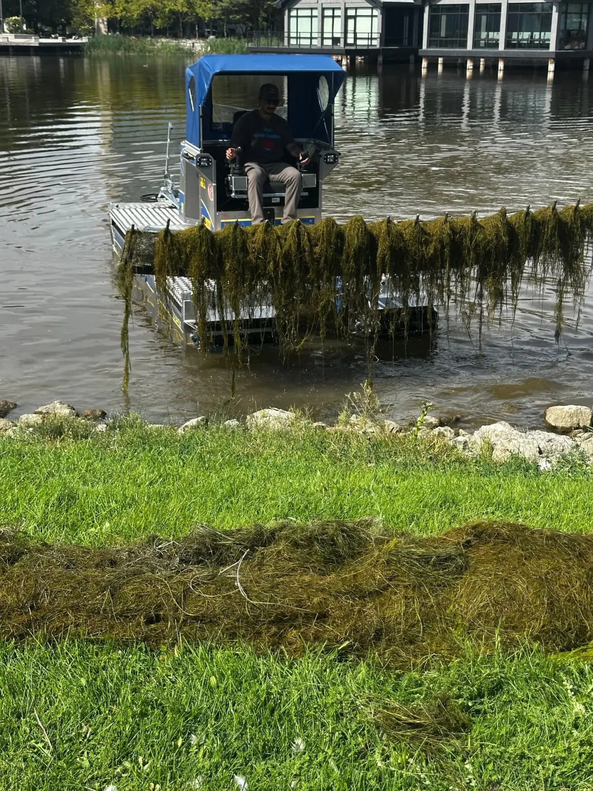 Aquatic plants and fish maintained by Utah Water Gardens